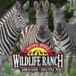 Natural-Bridge-Wildlife-Ranch_Desktop_ET