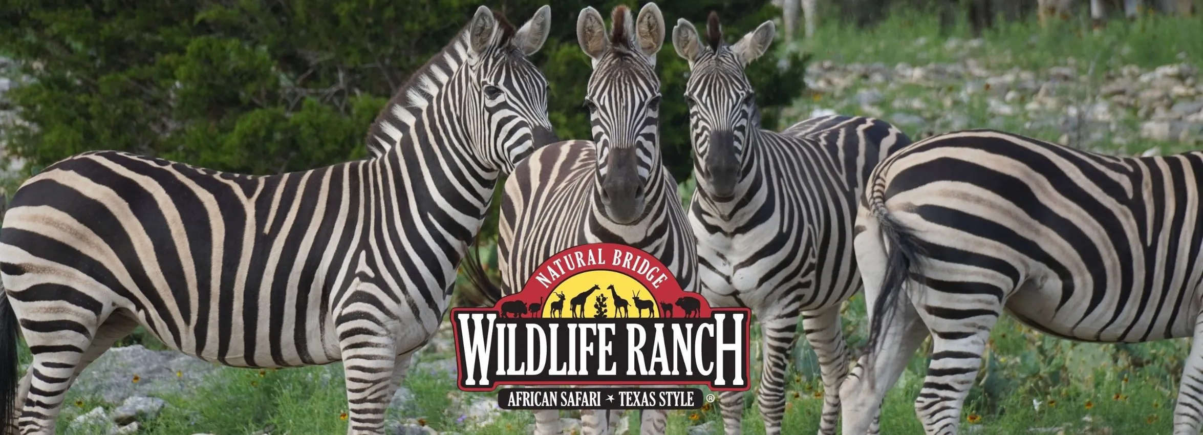 Natural-Bridge-Wildlife-Ranch_Desktop_ET