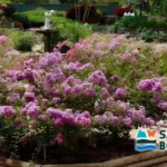 San-Antonio-Botanical-Garden_Desktop_ET