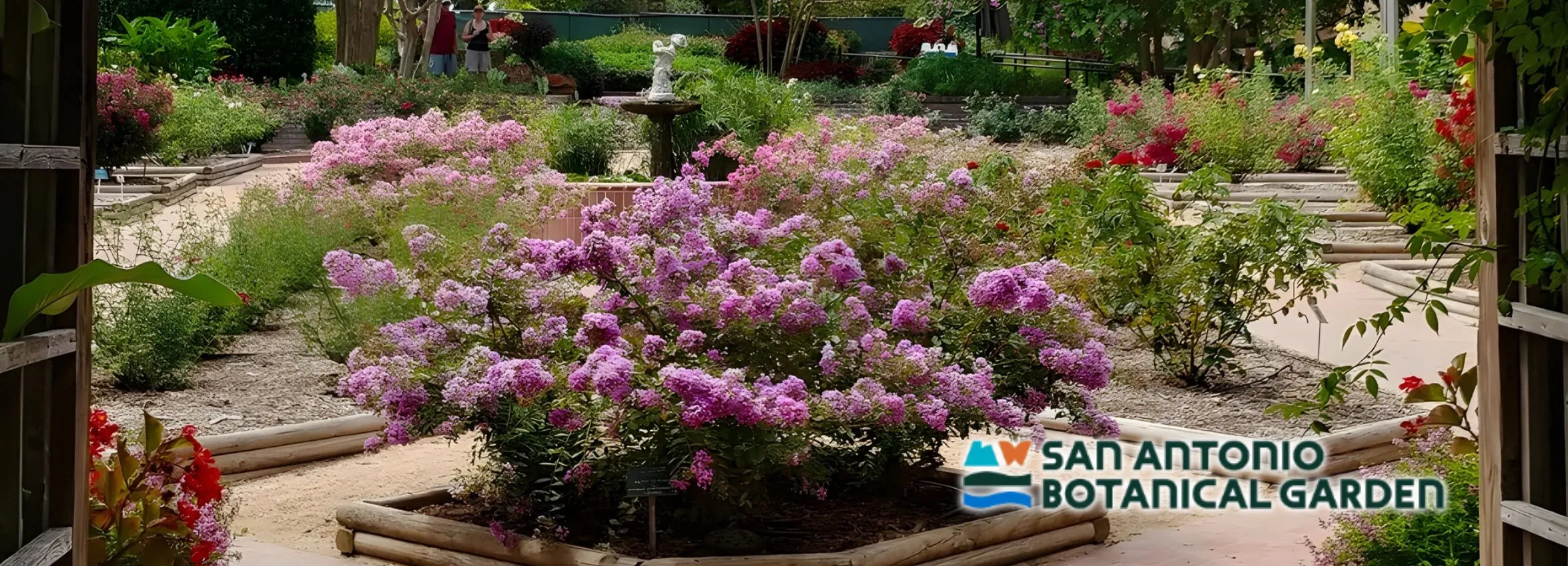 San-Antonio-Botanical-Garden_Desktop_ET