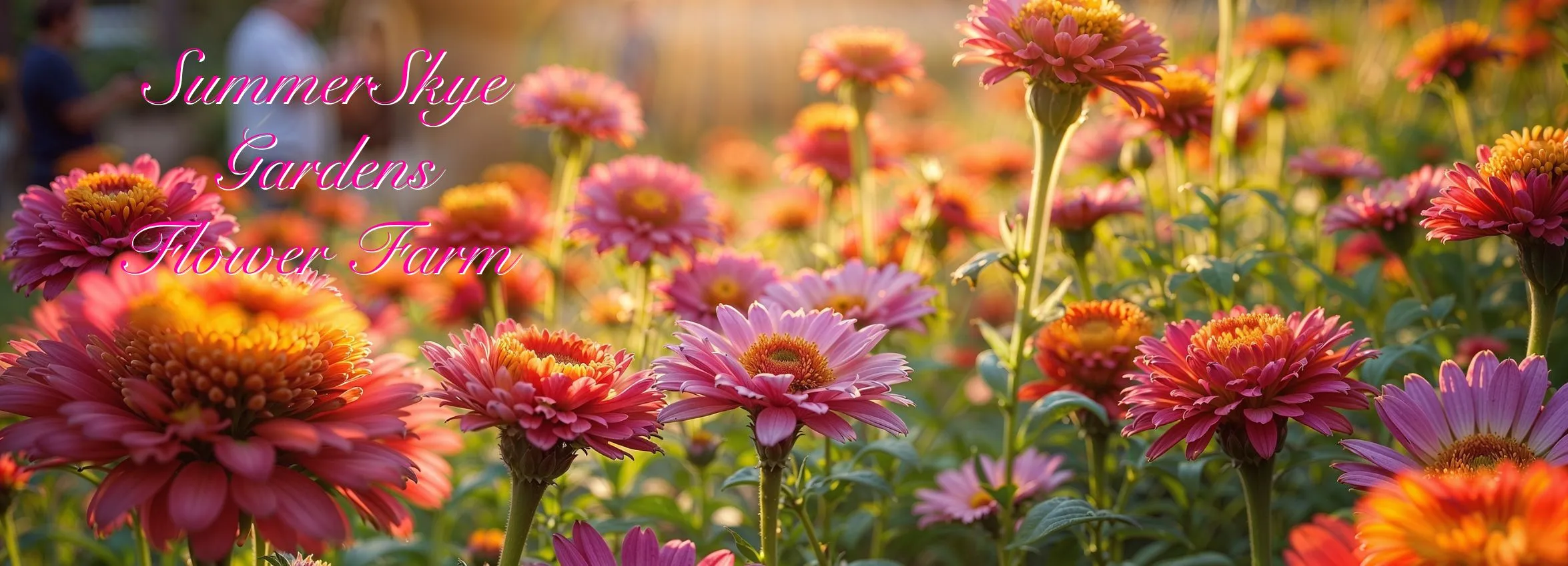 Summer-Skye-Gardens-Flower-Farm_Desktop_ET