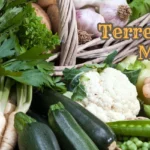 Terrell-Farmers-Market_Desktop_ET