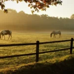 Texas-Land-Group_Desktop_ET-