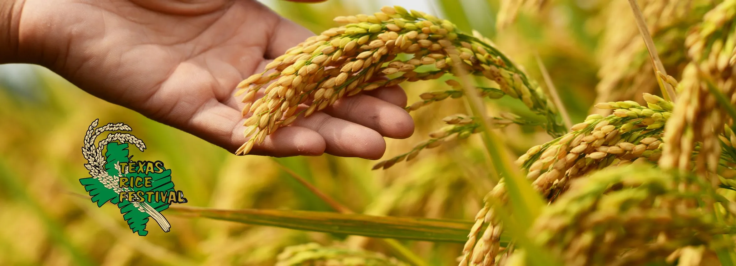 Texas-Rice-Festival_Desktop_ET