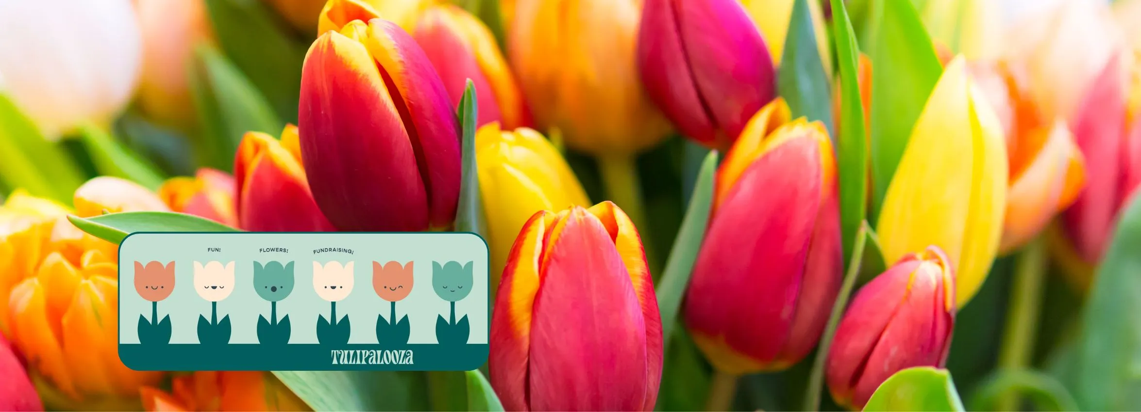 Tulipalooza_Desktop_ET