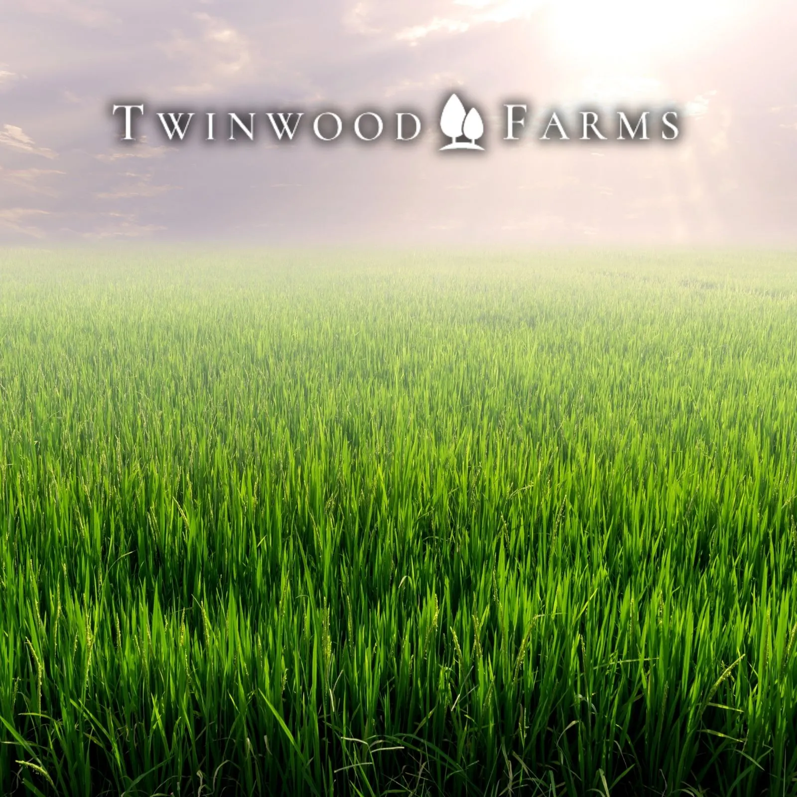 Twinwood-Farms_Mobile_ET