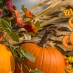 Waller-Fall-Fesival_Desktop_ET