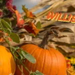 Willis-Fall-Fest_Desktop_ET