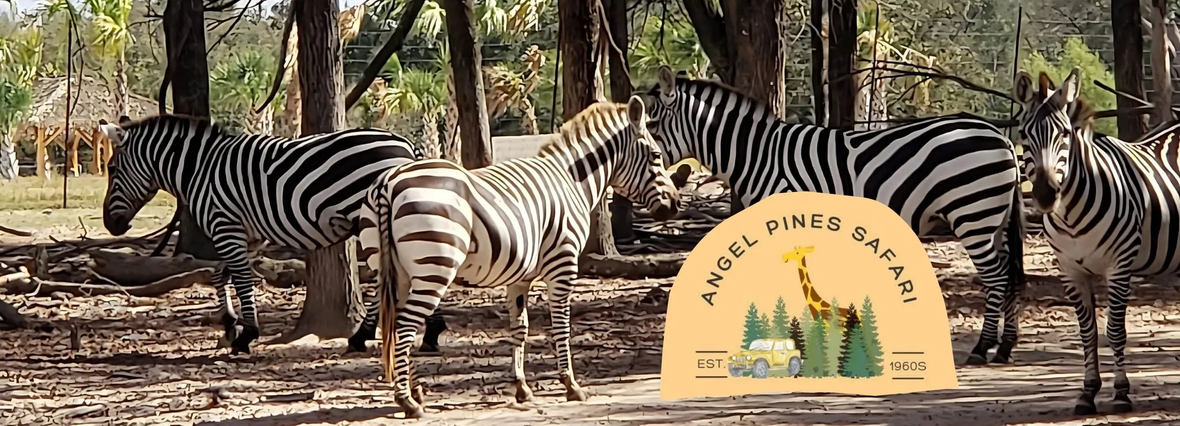 Angel-Pines-Safari_Desktop_ET