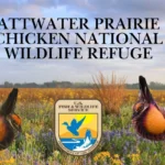 Attwater-Prairie-Chicken-National-Wildlife-Refuge_Desktop_ET