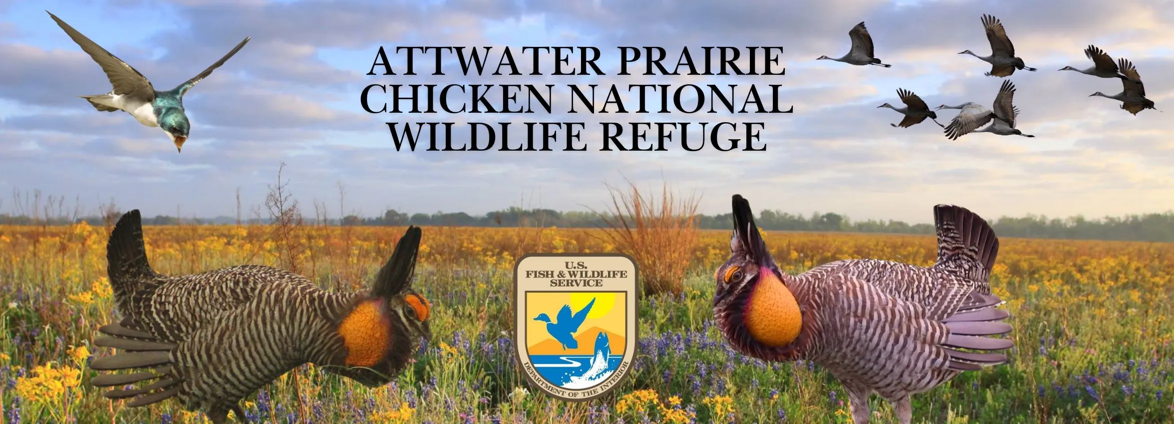 Attwater-Prairie-Chicken-National-Wildlife-Refuge_Desktop_ET