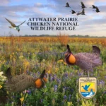 Attwater-Prairie-Chicken-National-Wildlife-Refuge_Mobile_ET