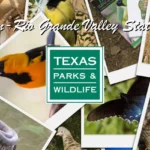 Bentsen-Rio-Grande-Valley-State-Park_Desktop_ET