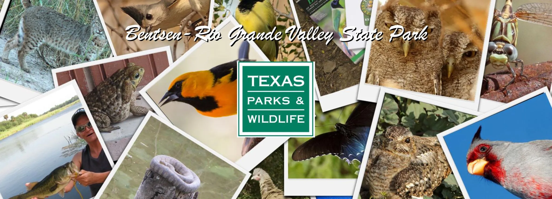 Bentsen-Rio-Grande-Valley-State-Park_Desktop_ET