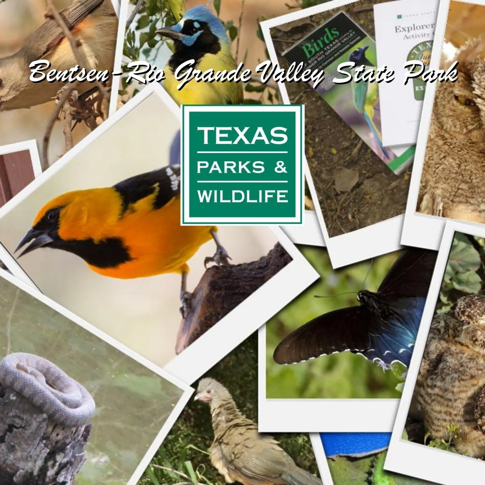 Bentsen-Rio-Grande-Valley-State-Park_Mobile_ET