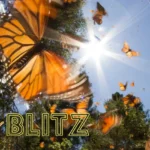 Butterfly-Blitz_Desktop_ET