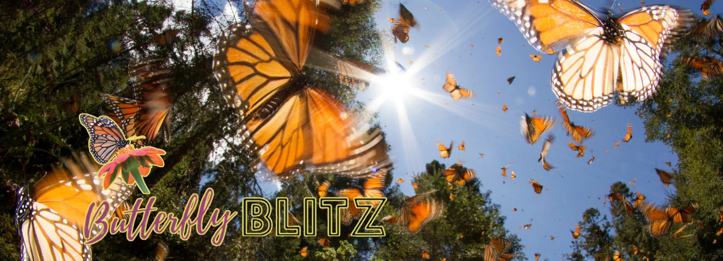 Butterfly-Blitz_Desktop_ET