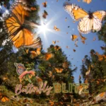 Butterfly-Blitz_Mobile_ET