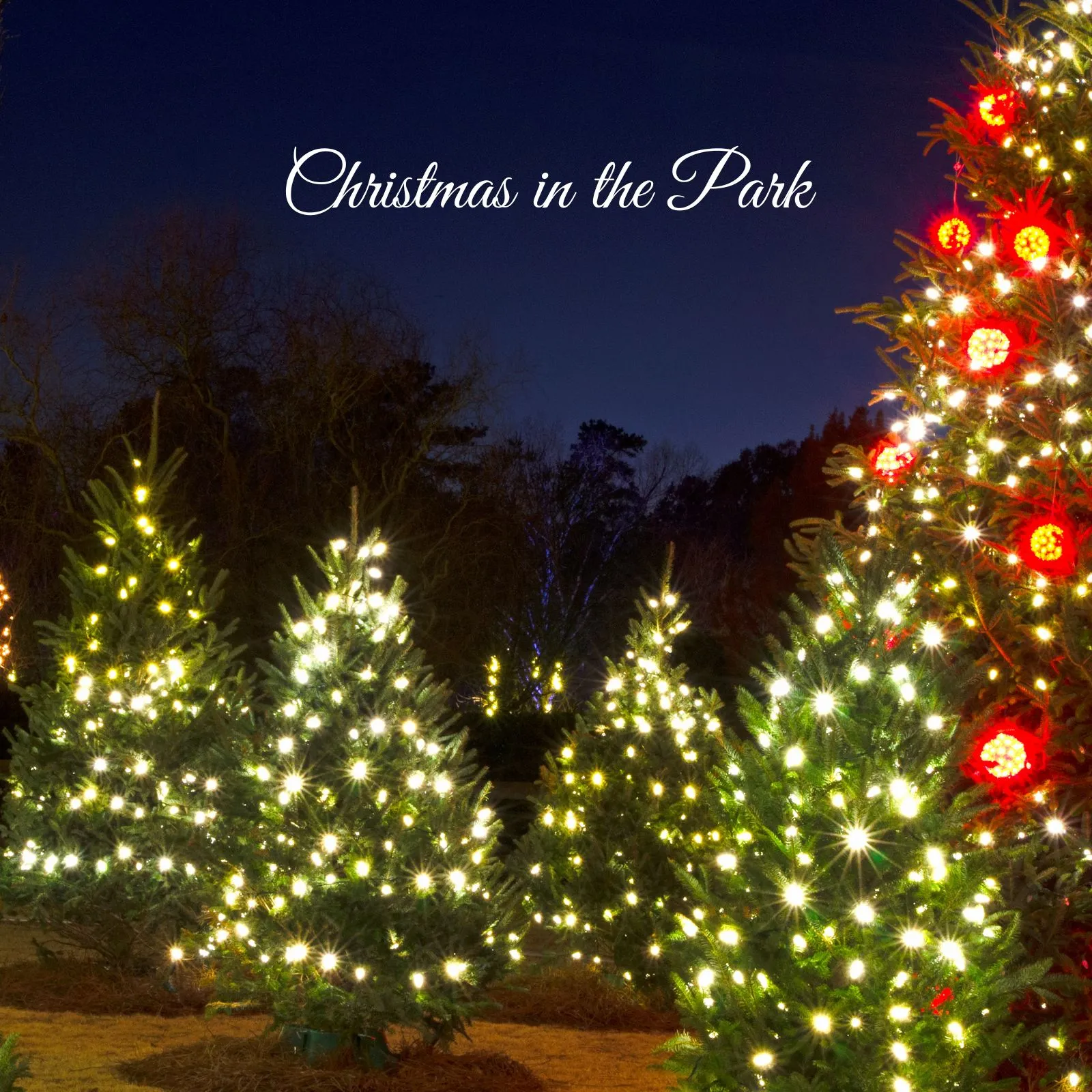 Christmas-in-the-Park_Mobile_ET