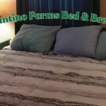 Constantino-Farms-and-Bed-_-Breakfast_Desktop_ET