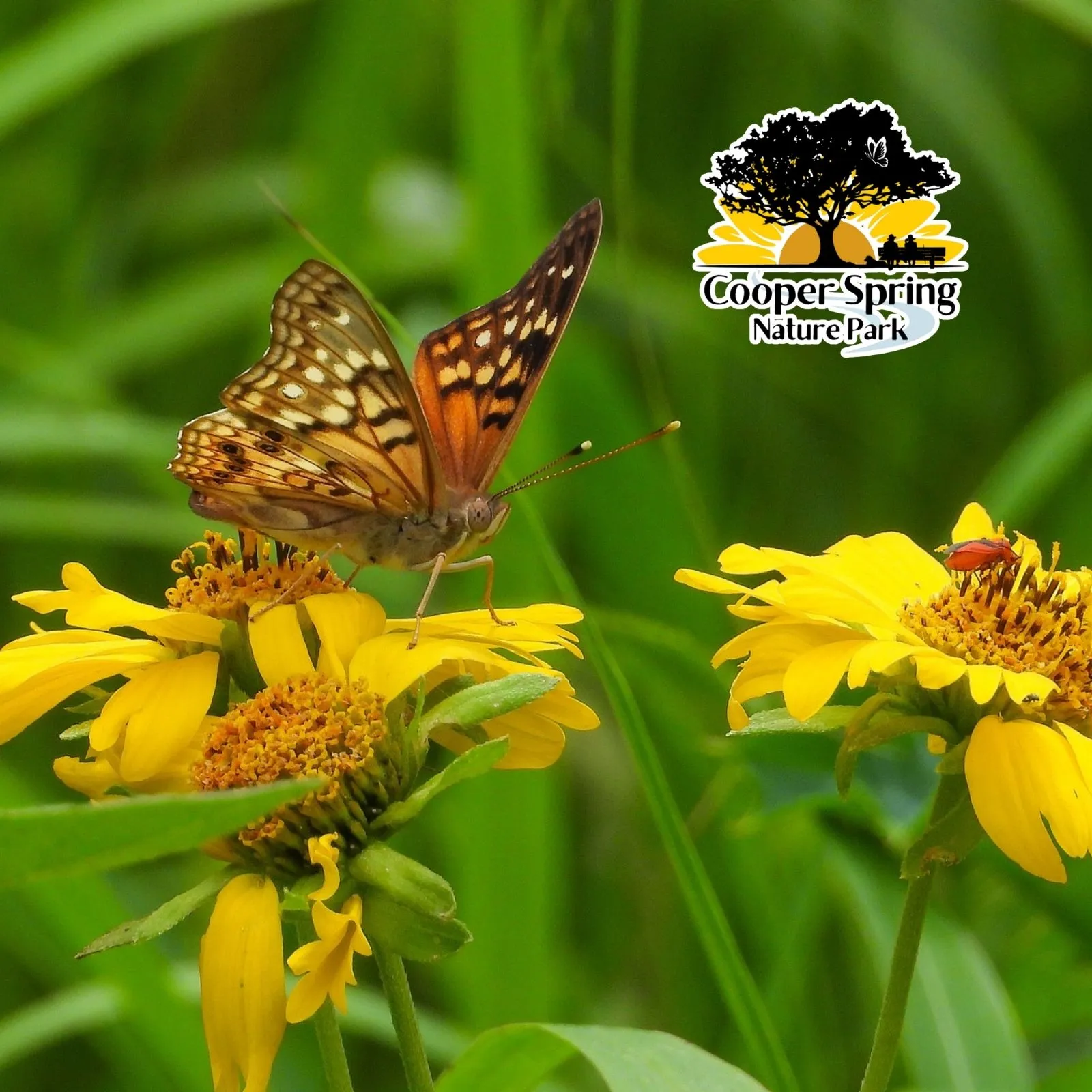 Cooper-Spring-Nature-Park_Mobile_ET