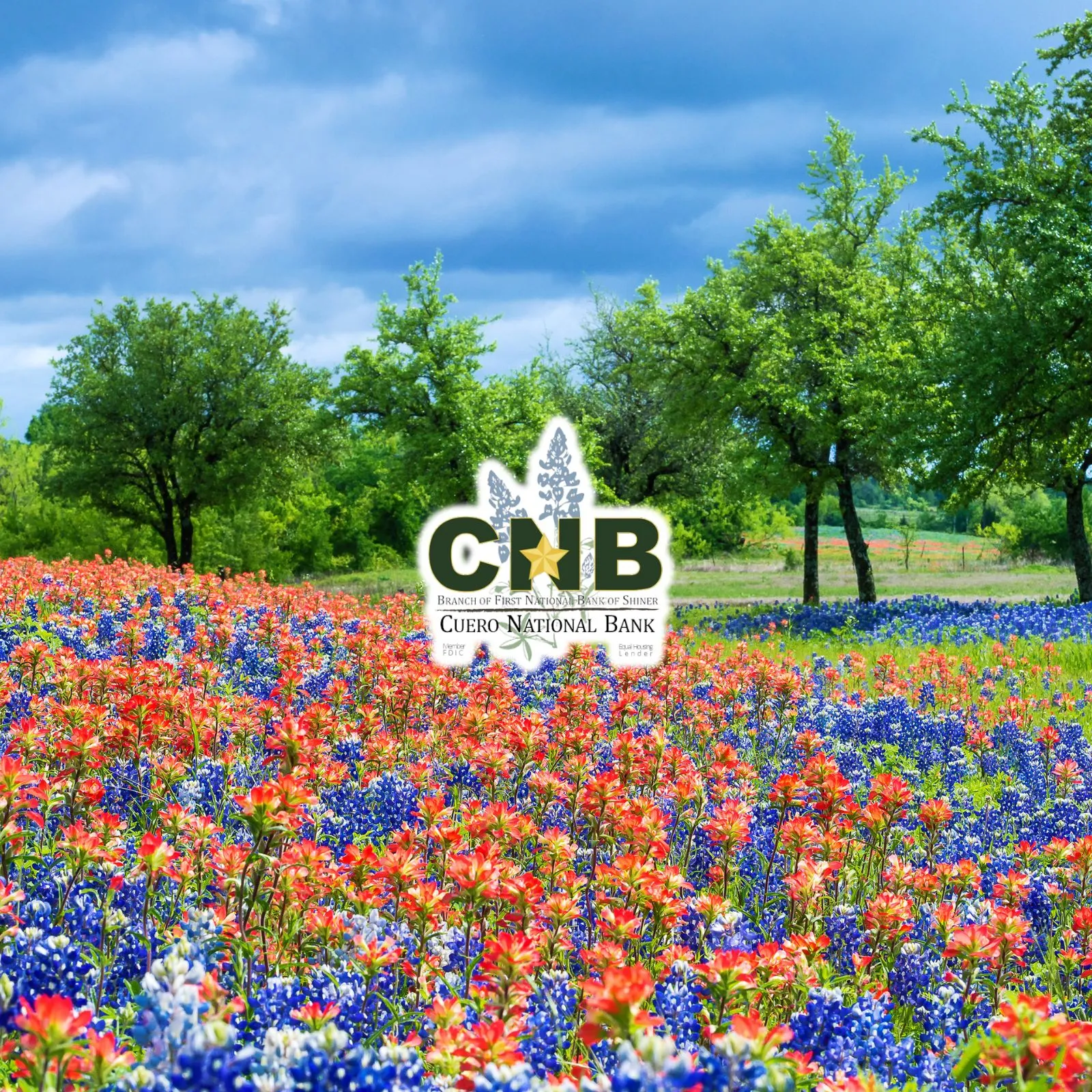 Cuero-National-Bank_Desktop_ET