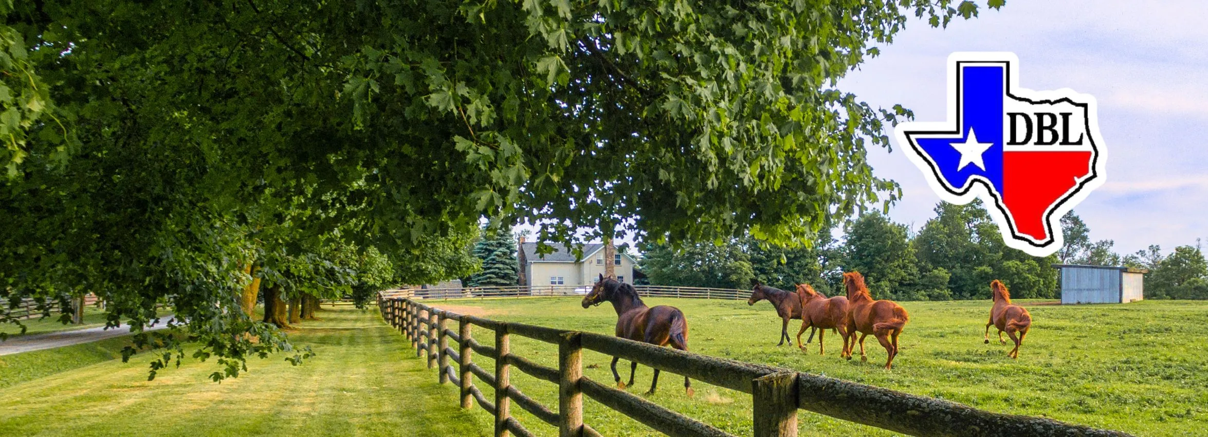 DBL-Real-Estate_Desktop_ET