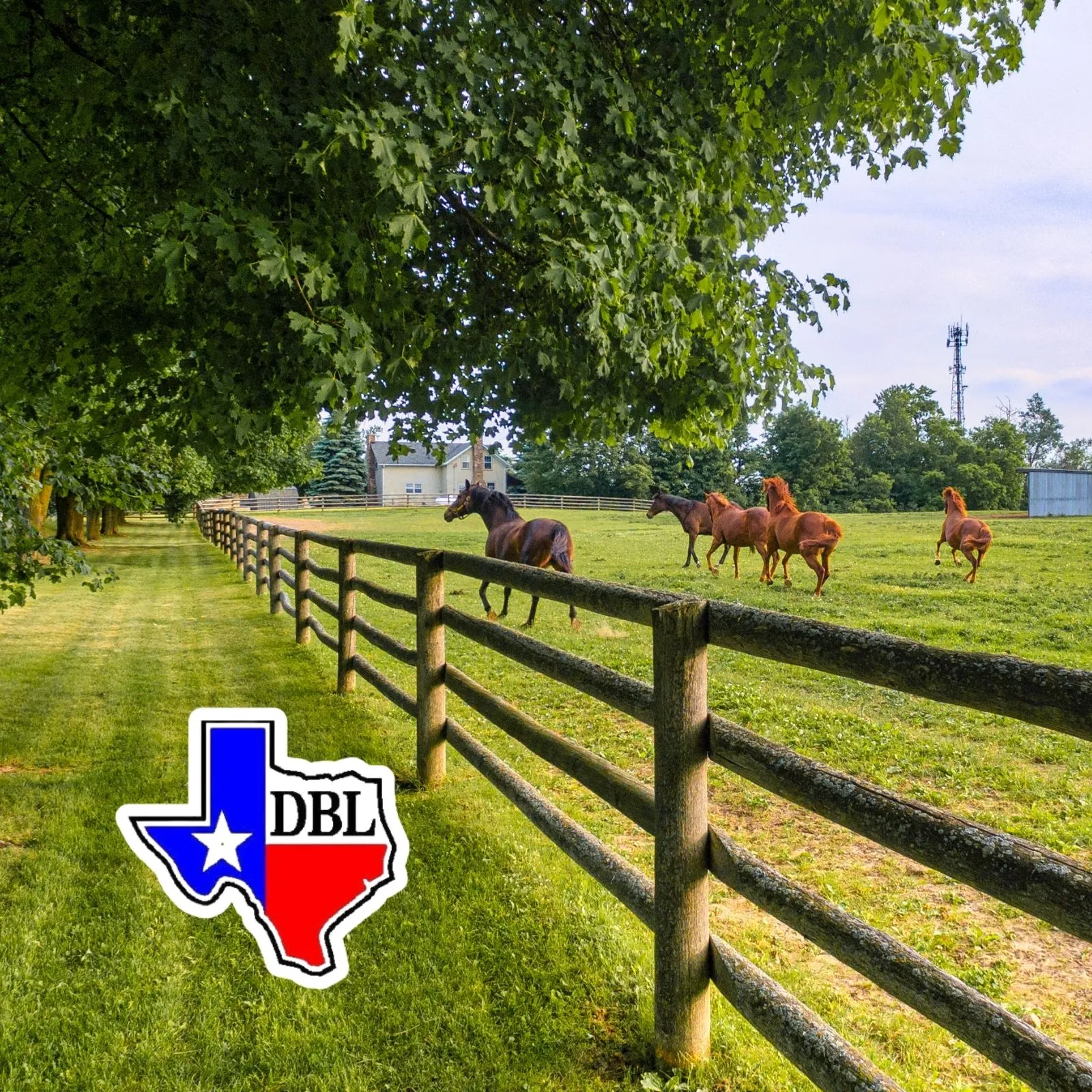 DBL-Real-Estate_Mobile_ET