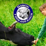 Damon-Farm-and-Ranch_Desktop_ET