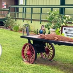 Dickinson-Historical-Society_Desktop_ET