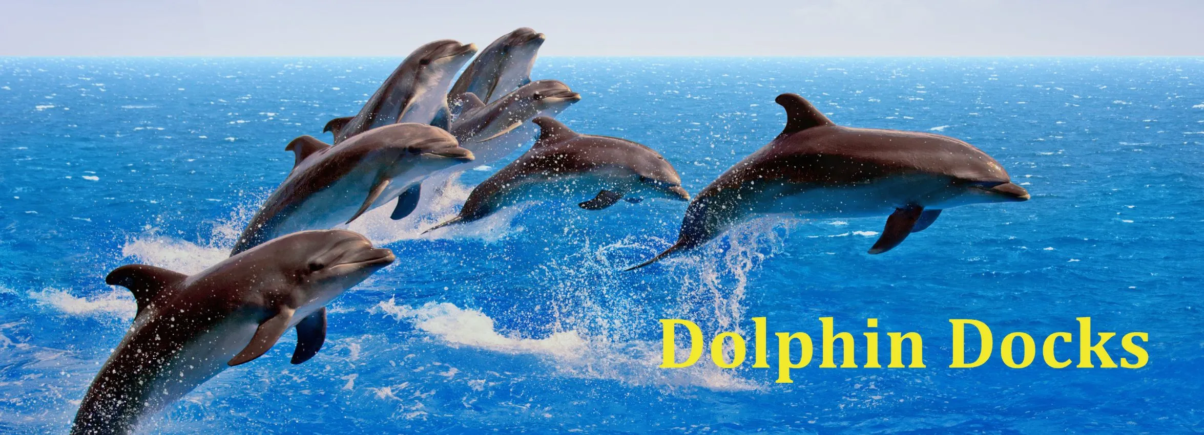 Dolphin-Docks_Desktop_ET