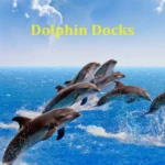 Dolphin-Docks_Mobile_ET