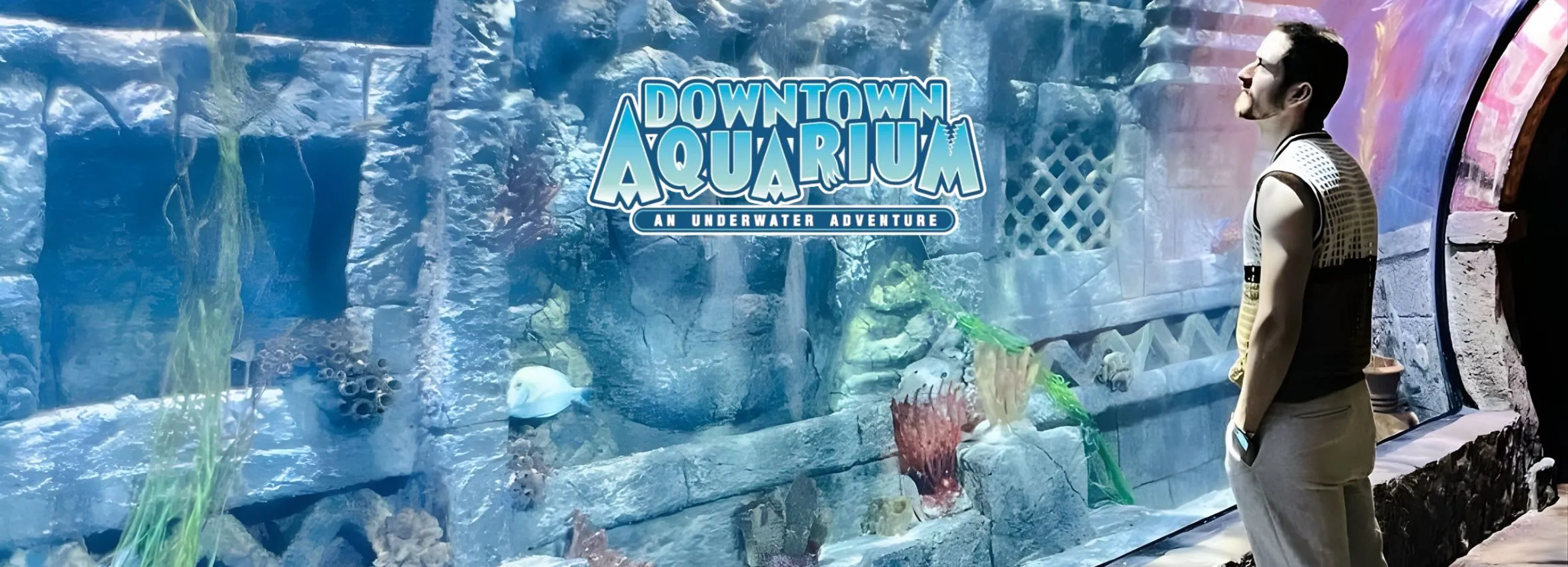 Downtown-Aquarium_Desktop_ET