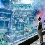 Downtown-Aquarium_Mobile_ET