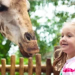 El-Paso-Zoo_Desktop_ET