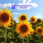 Fayetteville-Bank_Mobile_ET