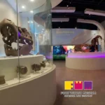Fort-Worth-Science-and-History_Mobile_ET