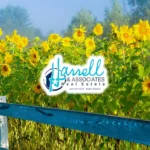 Harrell-_-Associates-Real-Estate_Desktop_ET