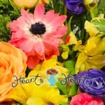 Heart-to-Heart_Desktop_ET