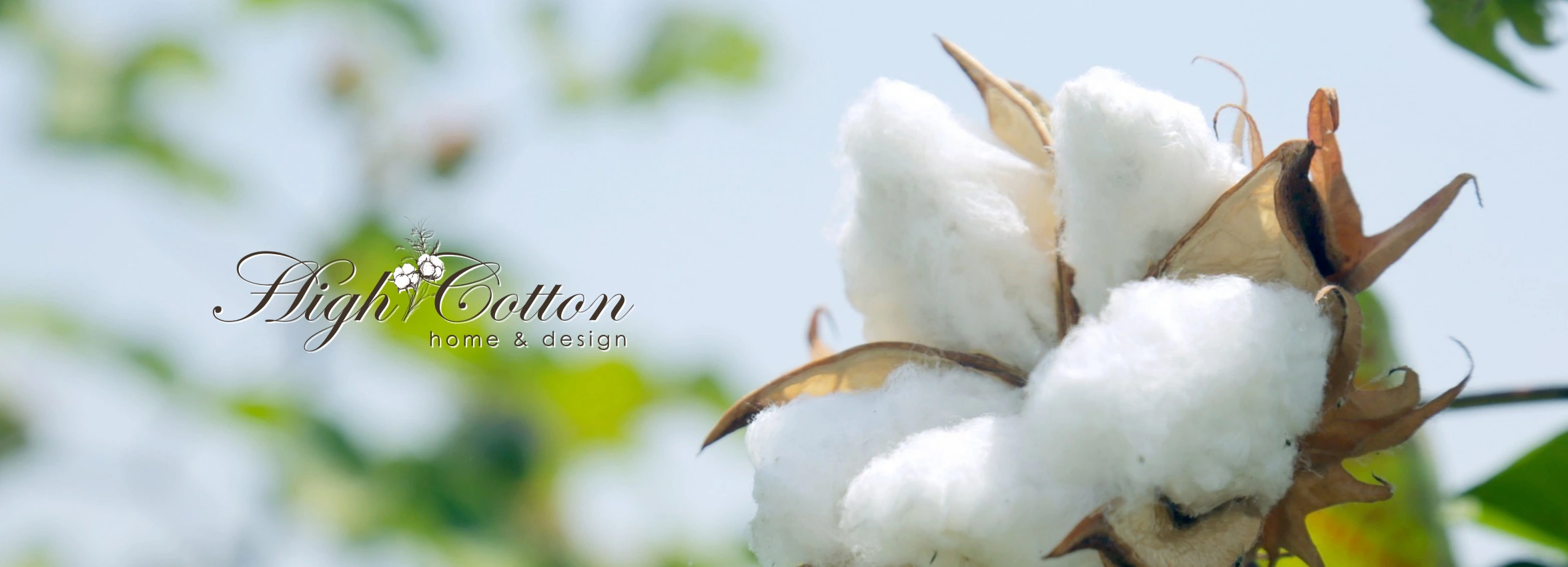 High-Cotton-Home-Design_Desktop_ET