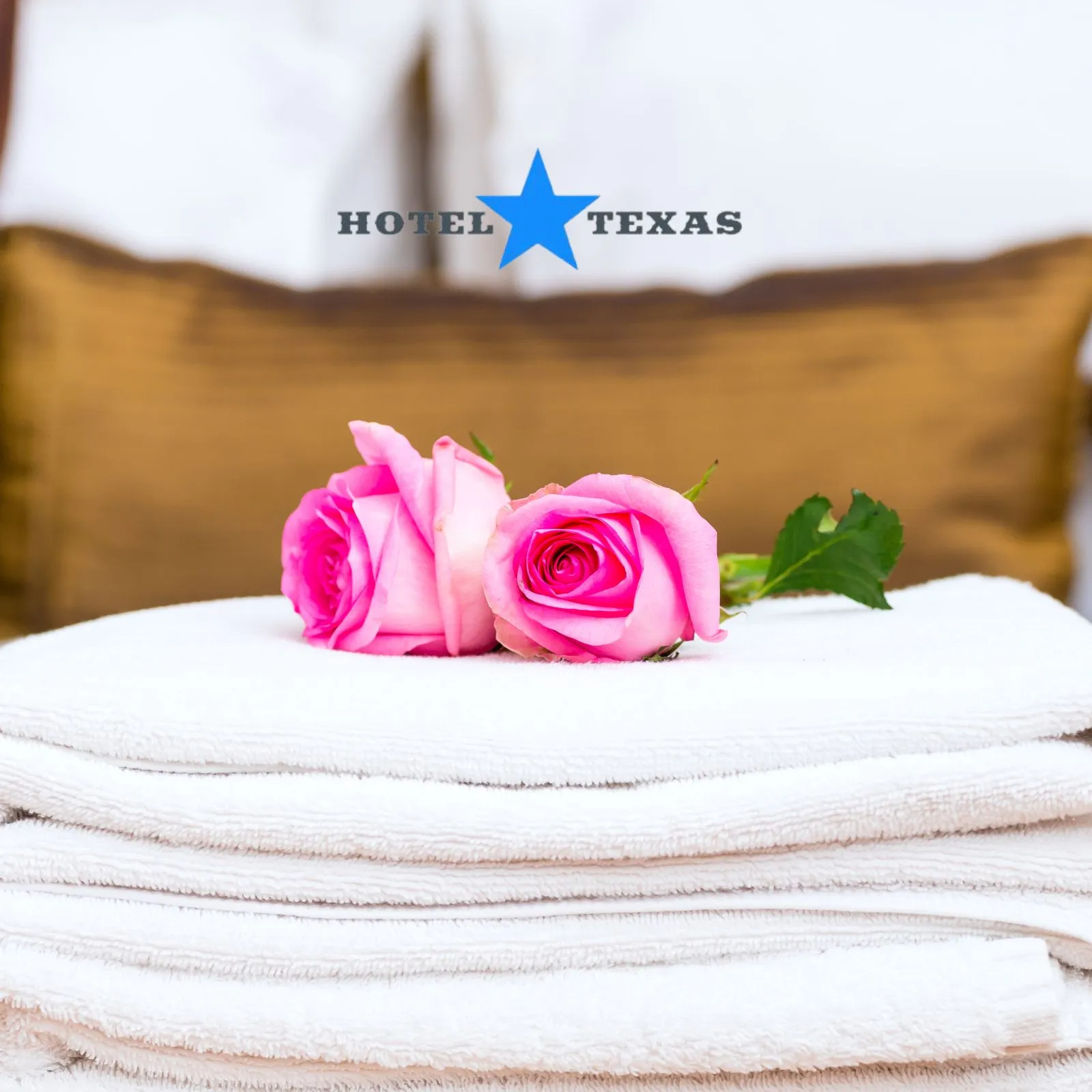 Hotel-Texas_Mobile_ET