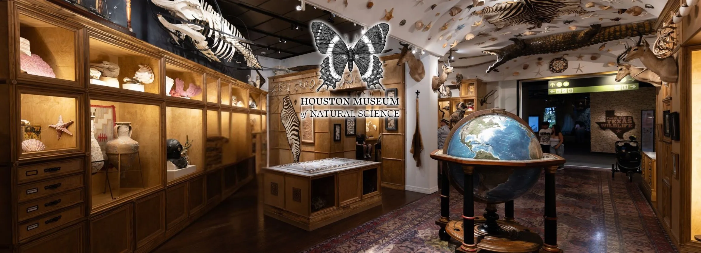 Houston-Museum-of-Natural-Science_Desktop_ET