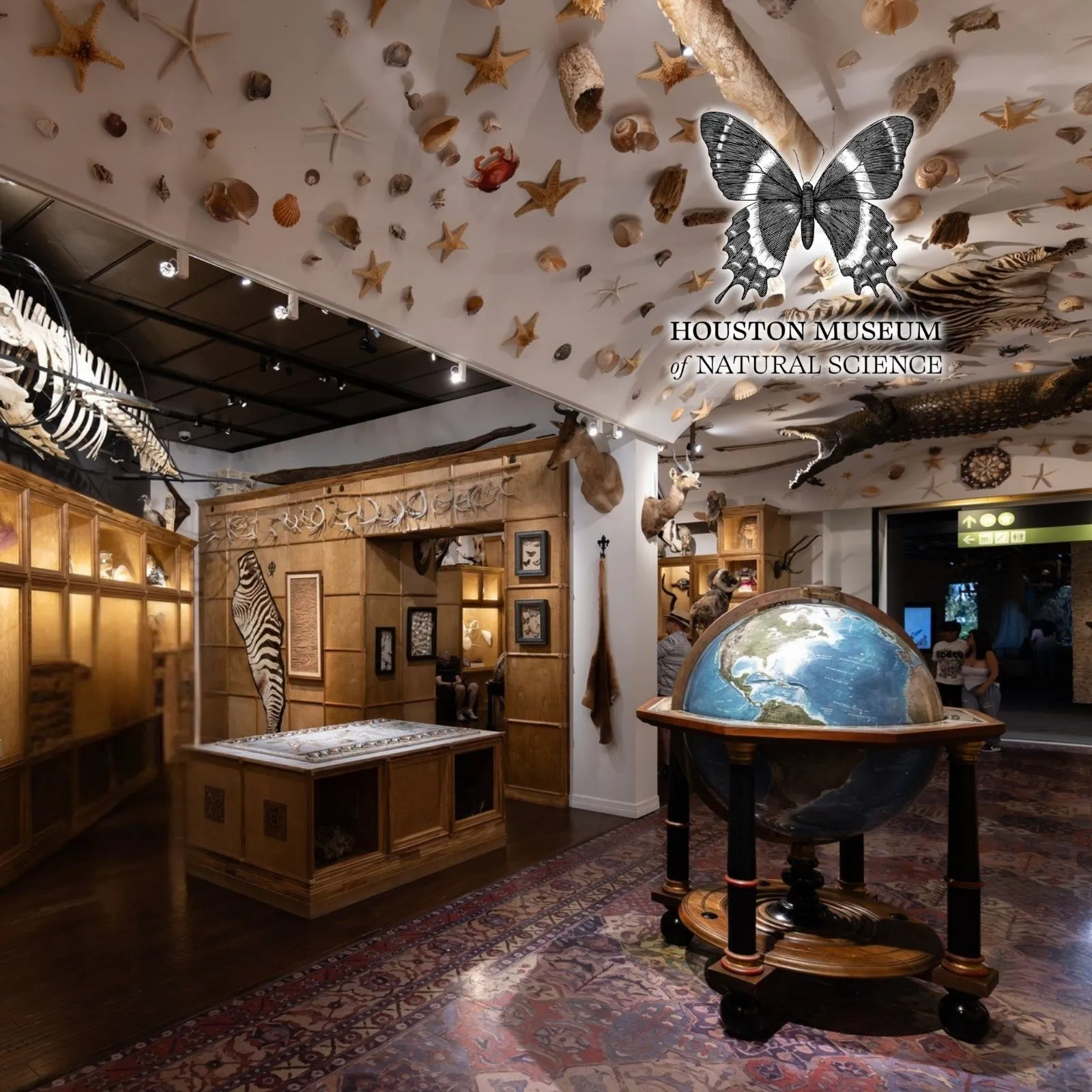 Houston-Museum-of-Natural-Science_Mobile_ET