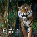 Houston-Zoo_Mobile_ET