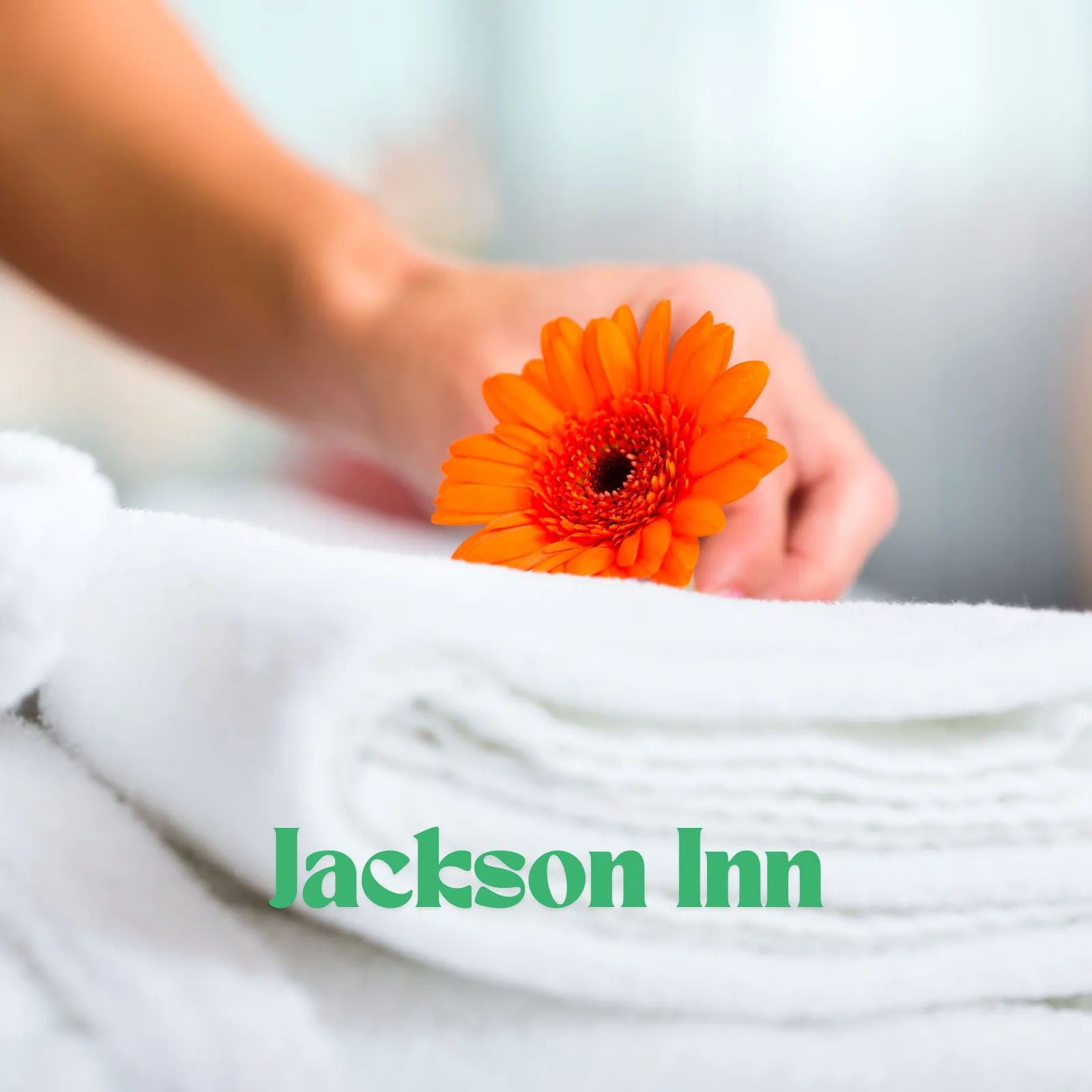 Jackson-Inn_Mobile_ET