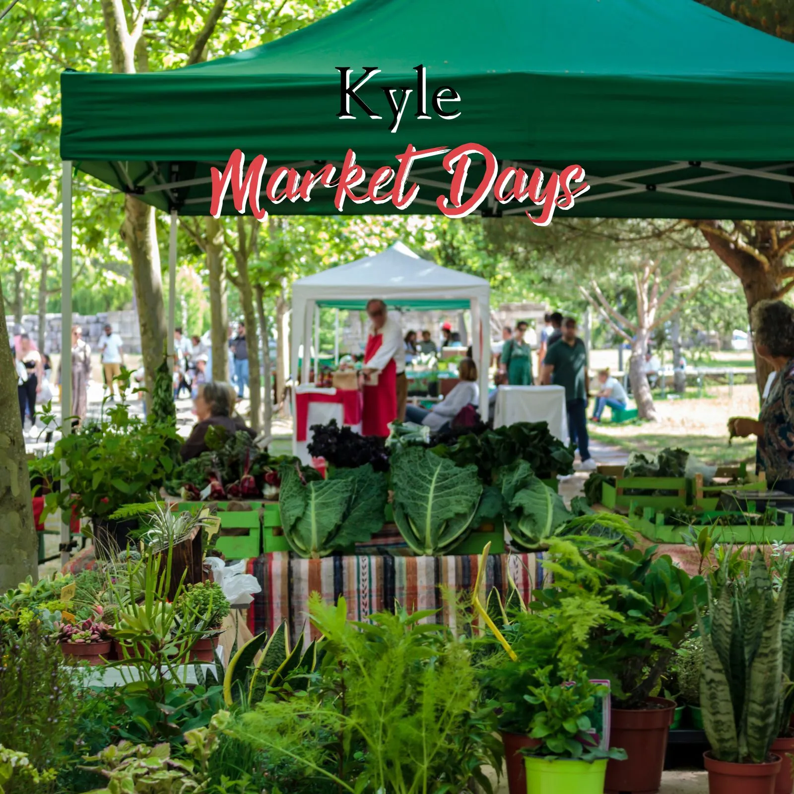 Kyle-Market-Days_Mobile_ET