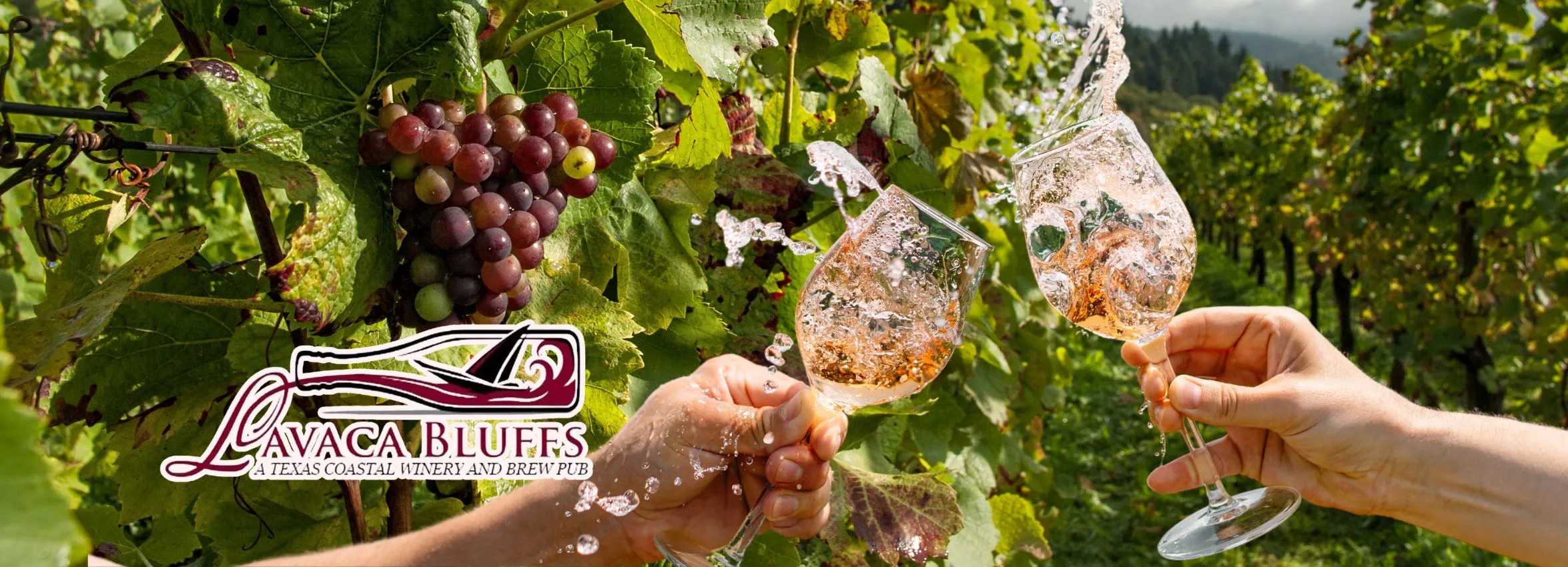 Lavaca-Bluffs-Vineyard-_-Winery_Desktop_ET