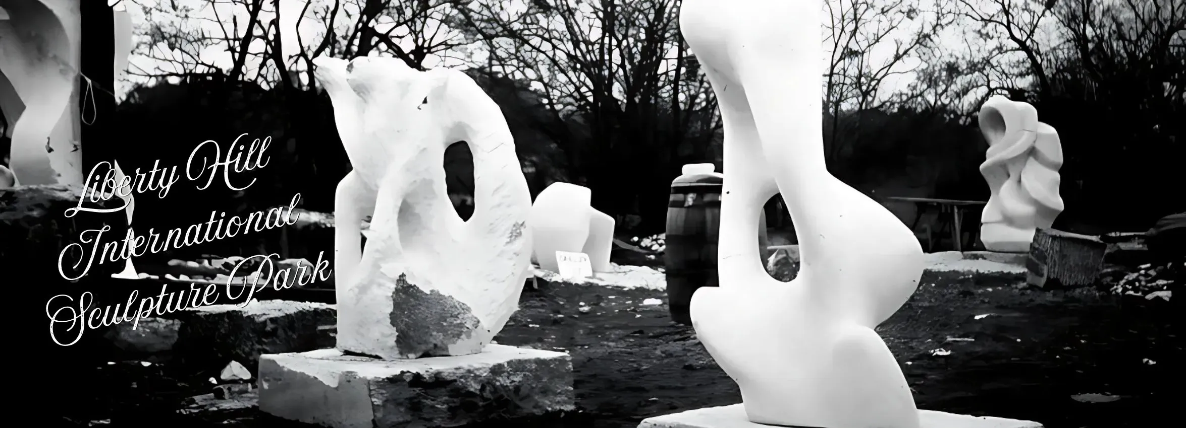 Liberty-Hill-International-Sculpture-Park_Desktop_ET
