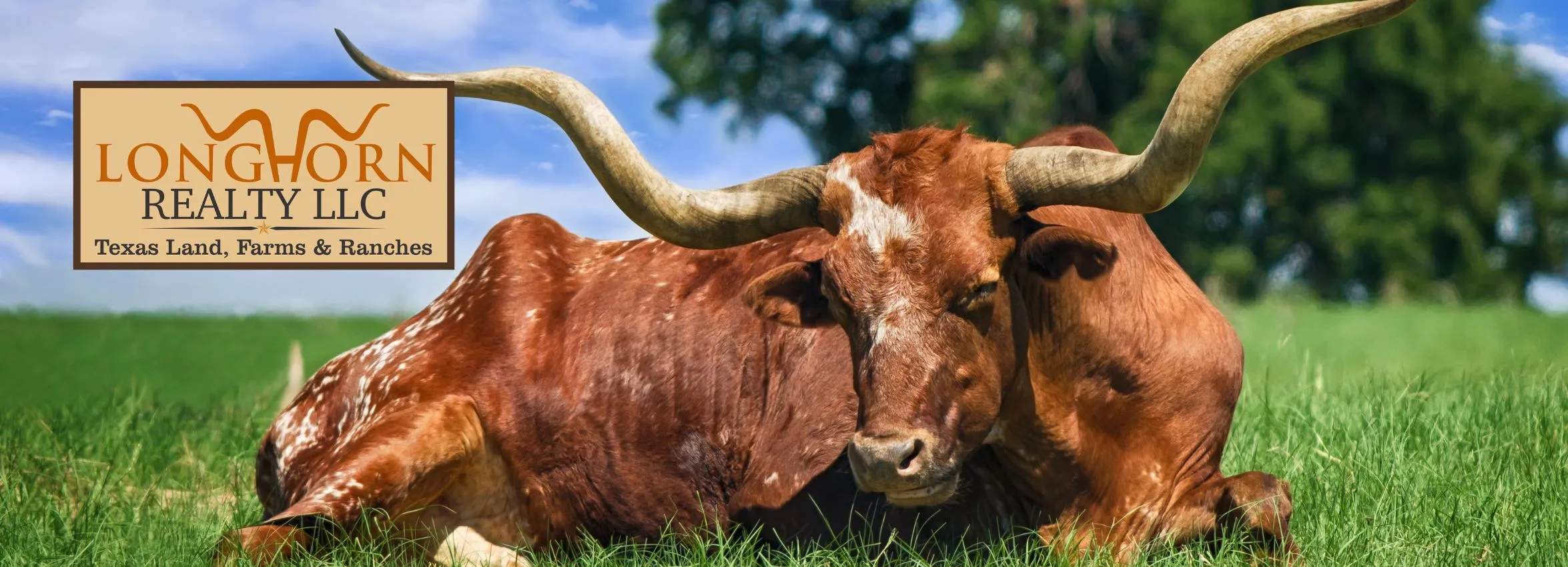 Longhorn-Realty_Desktop_ET