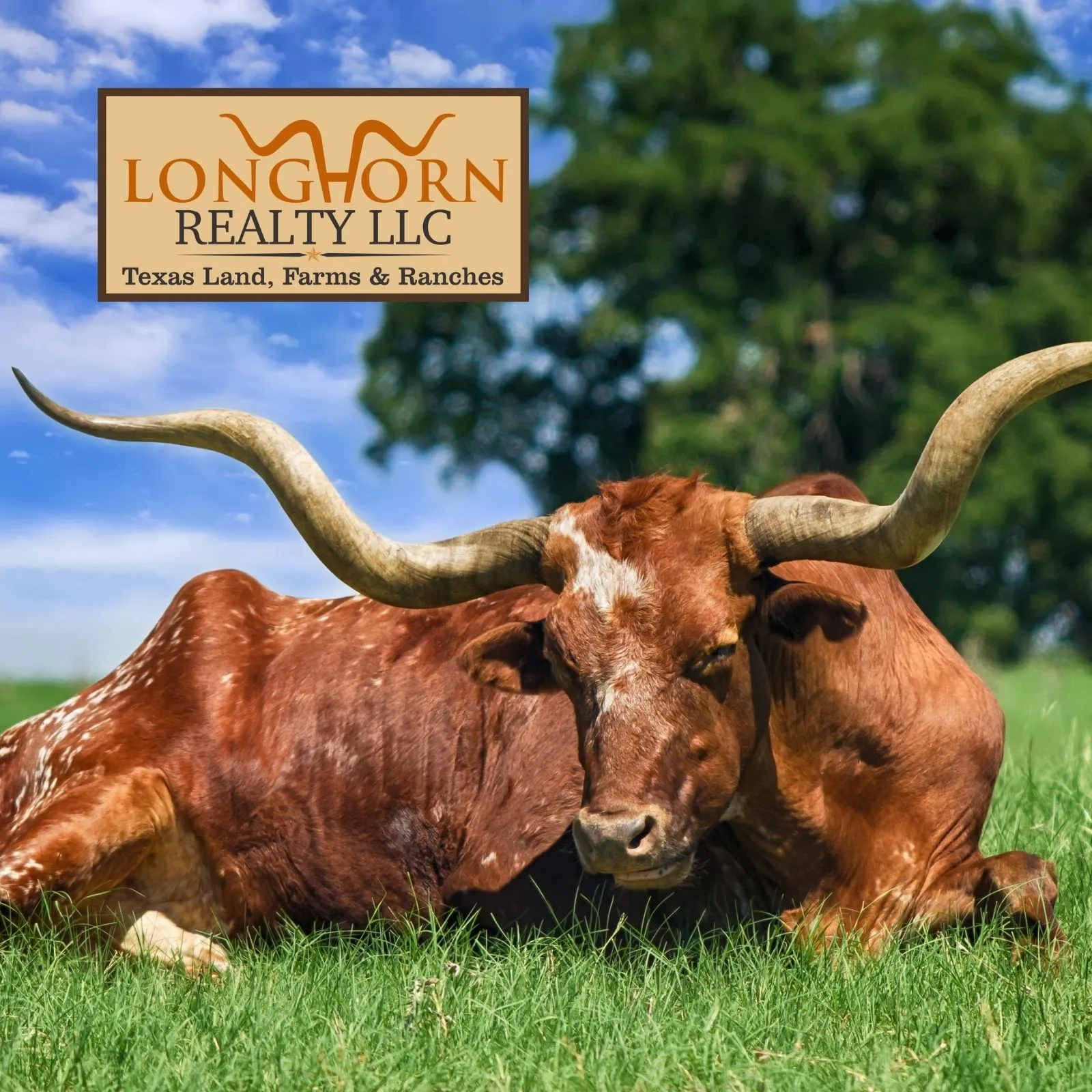 Longhorn-Realty_Mobile_ET